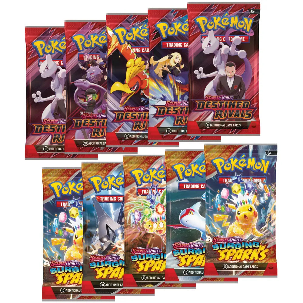 Pokemon Salamanca ex & Reshiram ex Premium Collection CardsRfun